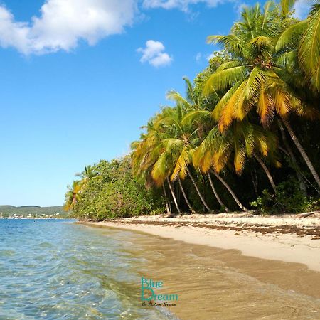 Kawan Nid - Tout Confort, Plage A 2 Min A Pied, Piscine, Wifi, Climatisation Grand-Bourg  Buitenkant foto