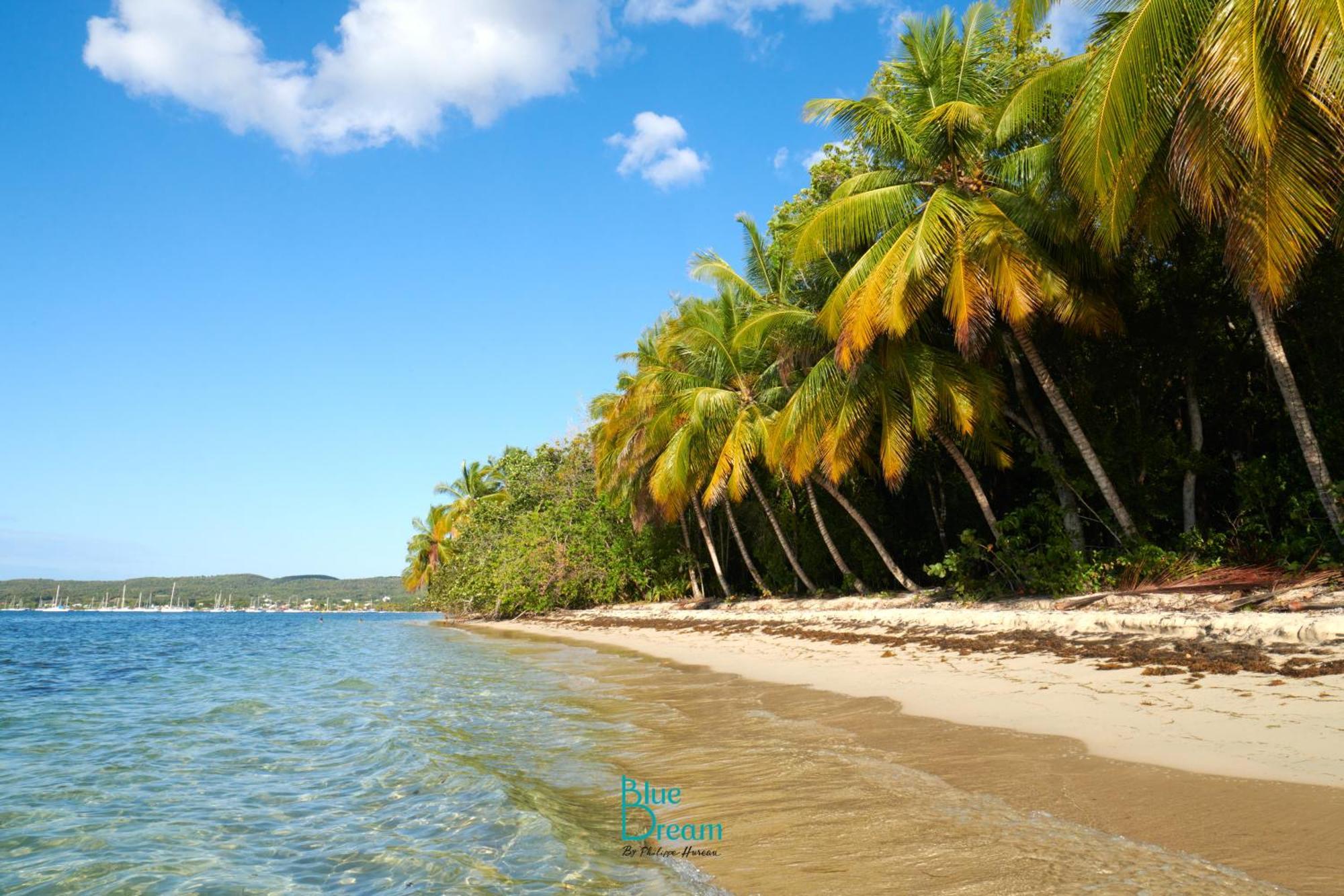 Kawan Nid - Tout Confort, Plage A 2 Min A Pied, Piscine, Wifi, Climatisation Grand-Bourg  Buitenkant foto